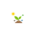 The way of goodness (13)