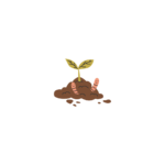 The way of goodness (16)